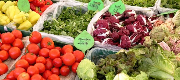 Down to the Roots: How Cities Are Building Local & Sustainable Food Systems