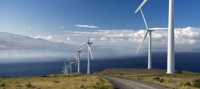 New York, Hawaii, California Race to 50 Percent Renewables