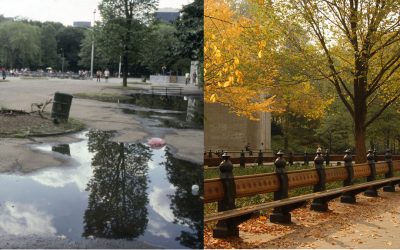 Replicable and Scalable Urban Park Management