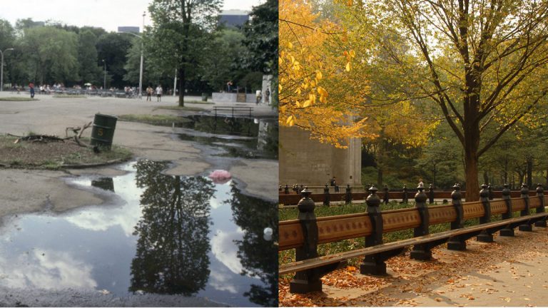 Replicable and Scalable Urban Park Management