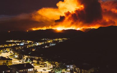 Wildfire Risk Reduction: Connecting the Dots